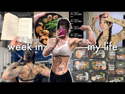 Week in My Life on 75 Hard: Meal Prep, Workouts, Healthy Habits, + Cleaning My Apartment