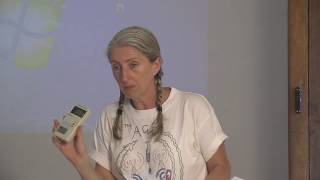 Suppression of Consciousness or The Age of Stupid – a talk by Louise