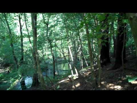 Wellesley Real Estate 57 Parker Road Wellesley Ma