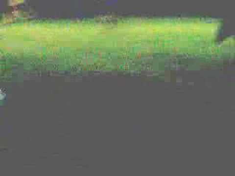 Sporting C.Birone - Robur FBC84/C  0-3