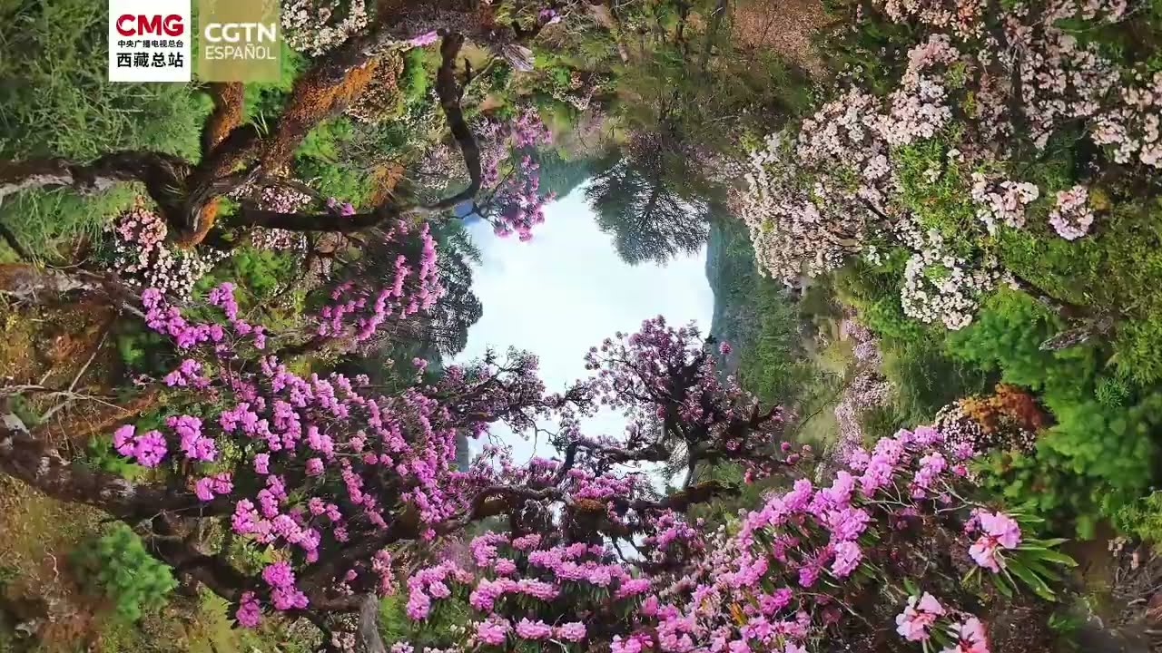 Descubre la belleza natural de la región autónoma de Xizang