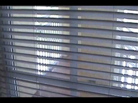 1133 Van Loon Commons Cir