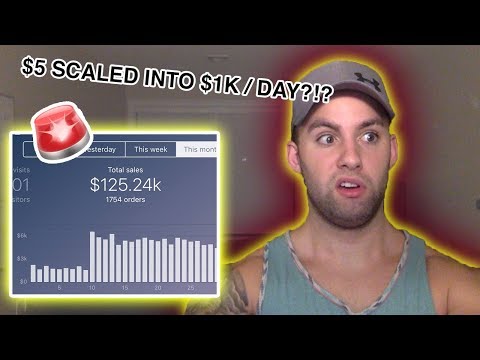 TURNING $5 INTO $1K PER DAY SHOPIFY HACK (For Beginners)