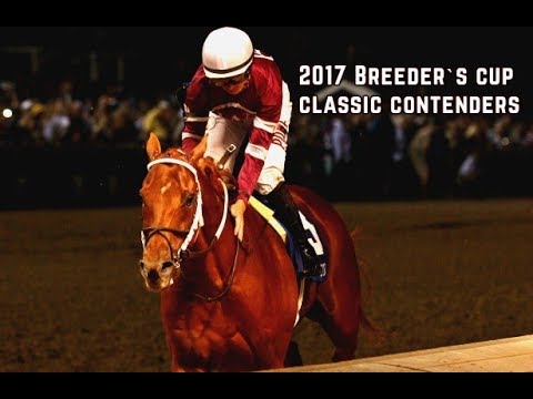 2017 Breeder`s Cup Classic Contenders