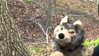 "Hooray for Gay Pride" with Uncle Rob & the Huggable Schnuppets