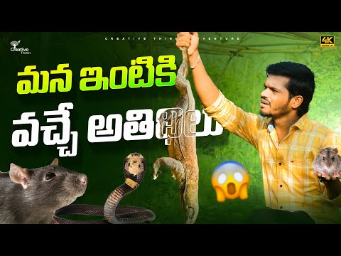 Creative Thinks Home Out Side Problems with Animals & Muggu Prizes | Shree Videos