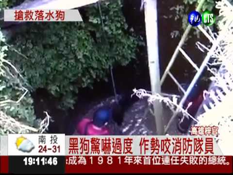 消防爬下3樓高深井 搶救落水狗!