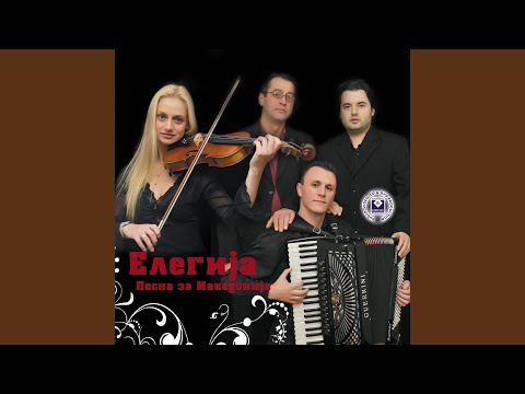 Pod dabot na senkite siroki