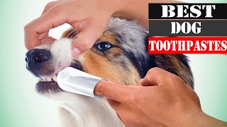 The 5 Best Dog Toothpastes 2024