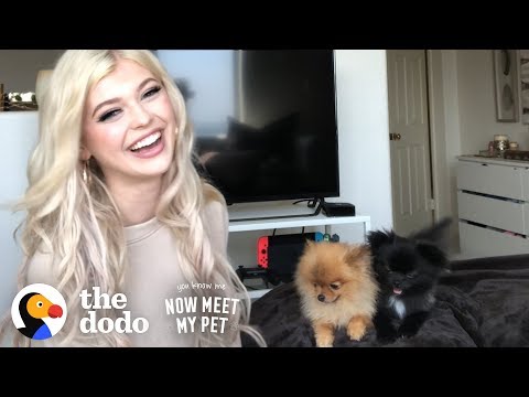 Puppy Who Almost Died Beat All The Odds With Loren Gray | The Dodo You Know Me Now Meet My Pet