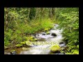 Celtic Ballad - Riversong 