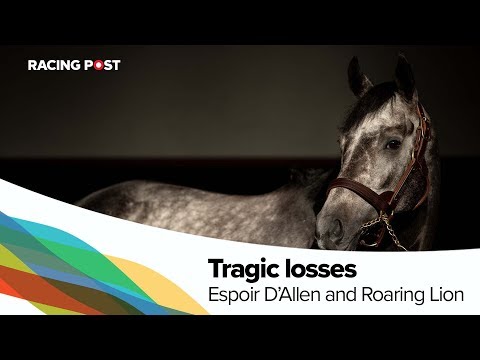 Lee Mottershead on the deaths of Espoir D'Allen and Roaring Lion