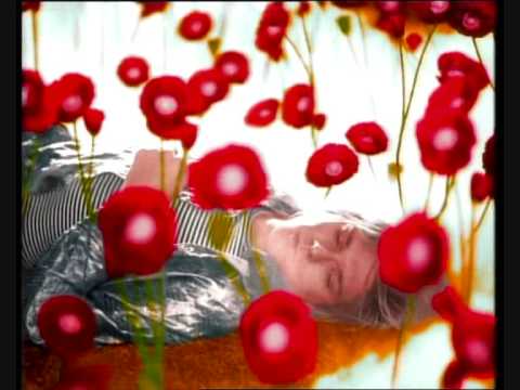 Video thumbnail for About a Boy
