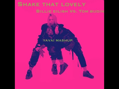 Shake that lovely - Billie Eilish vs Tom Budin (Yavai mashup)