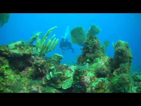 Sharks Canyon, Ambergris Caye,Belize