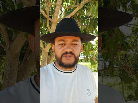 vendo barato e parcelado com 2 casas esse em bodoco pe 8799102 3154