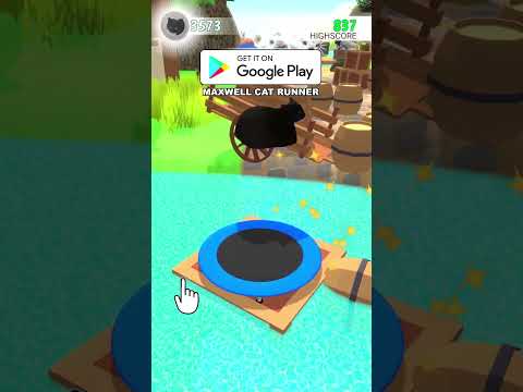 Maxwell Cat Runner Video