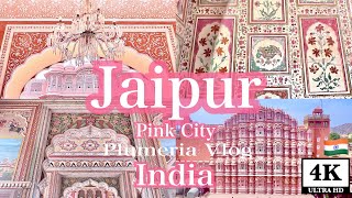 【放浪好き海外生活】ジャイプールPart.2🩷憧れの街💎Pink City と呼ばれる魅惑の街へ!!城数々の古城をみれ一生忘れられない旅に…᯽Plumeria Vlog ᯽