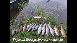 Мушки для ловли хариуса в карелии