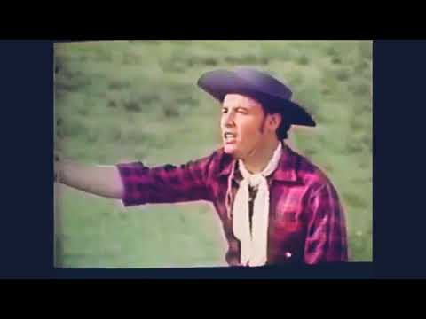 Canto Da Seriema video