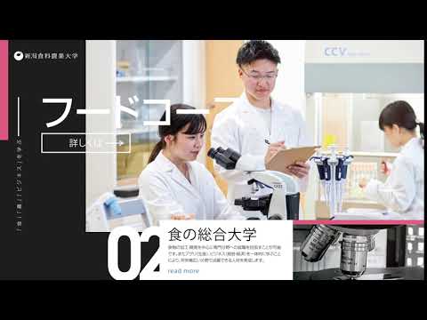 NAFU_フードコース6秒動画v2