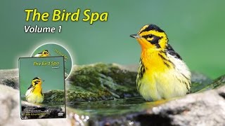 The Bird Spa DVD Sample