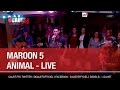 Maroon 5 - Animals - Live - C'Cauet sur NRJ 