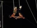 Bahamaian Trapeze Act