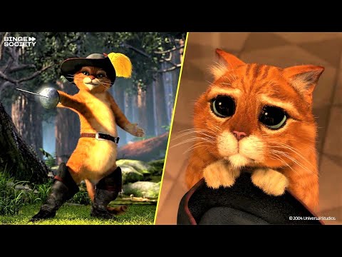 Les Meilleurs Moments du Chat Potté