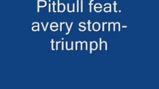 pitbull feat. avery storm-triumph