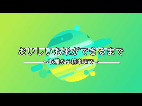 お米ができるまで～収穫から精米まで～