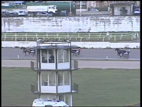 Trotto 16/12/2014 - Prova di qualifica