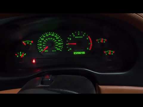 Thumbnail for 2001 Qvale Mangusta Saleen supercharged by Qvale