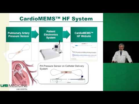 Heart Failure Guidelines and Program