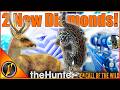 DIAMOND Ocelot Taruca On Peru Multiplayer TheHunter Call Of The Wild