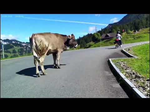 Rundfahrt über den Glaubenbergpass 14.09.2025