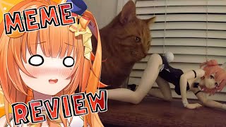 【Meme review】I want you to tell me a lot about Meme