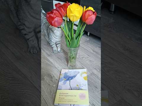 ОБЗОР НА ДНЕВНИК БЛАГОДАРНОСТИ #ресурс #психология