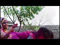 New Rajasthani Holi WhatsApp Status Holi Status Rajasthani Holi Status 2021 Rajasthani Vani