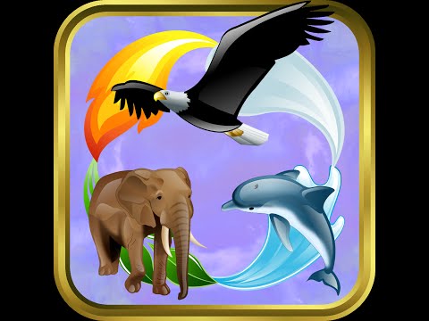 Magic Alchemist Animal Kingdom Video