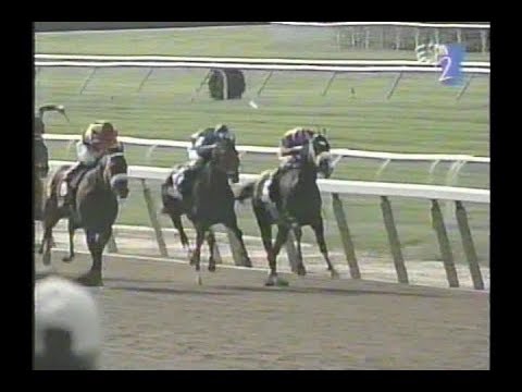 1996 Metropolitan Handicap