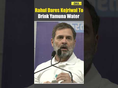 Delhi Elections: Rahul Gandhi Slams AAP Over Yamuna Pollution, Dares Kejriwal To Drink Delhi's water