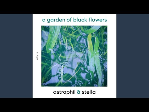 Non è ch'il duol mi scemi