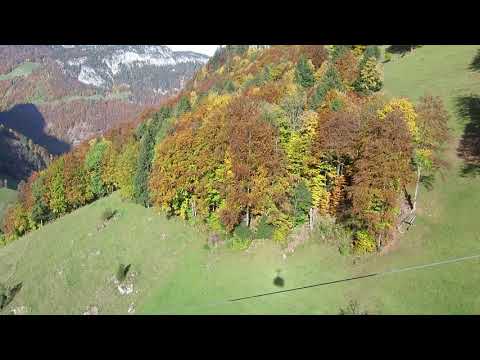 Luftseilbahn Isenthal - Gietisflue Talfahrt 2020 - cable car Switzerland