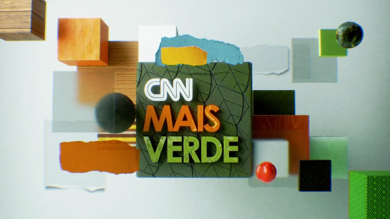 CNN Mais Verde: arara azul é uma das aves mais ameaçadas do Brasil | CNN NOVO DIA