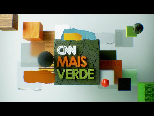 CNN Mais Verde: arara azul é uma das aves mais ameaçadas do Brasil | CNN NOVO DIA