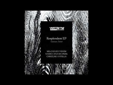 Naidö & Perk - Constant Function (Original Mix) [PTSEC007D]