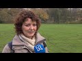 Rotterdams park vernield door elektrische wagentjes