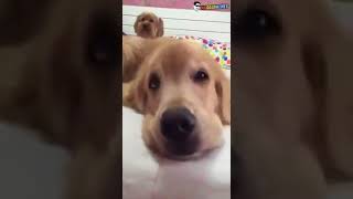 ¿Quién ha usado mi maquillaje?