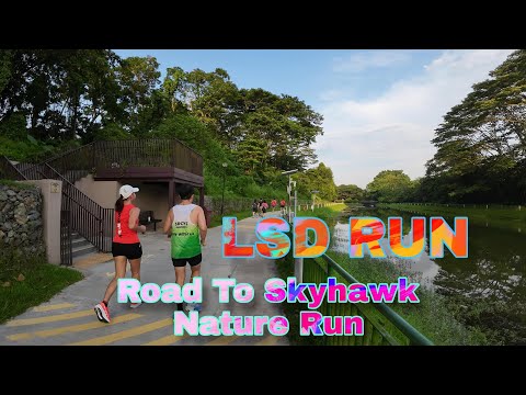 ROAD TO SKYHAWK NATURE RUN - LSD 17KM